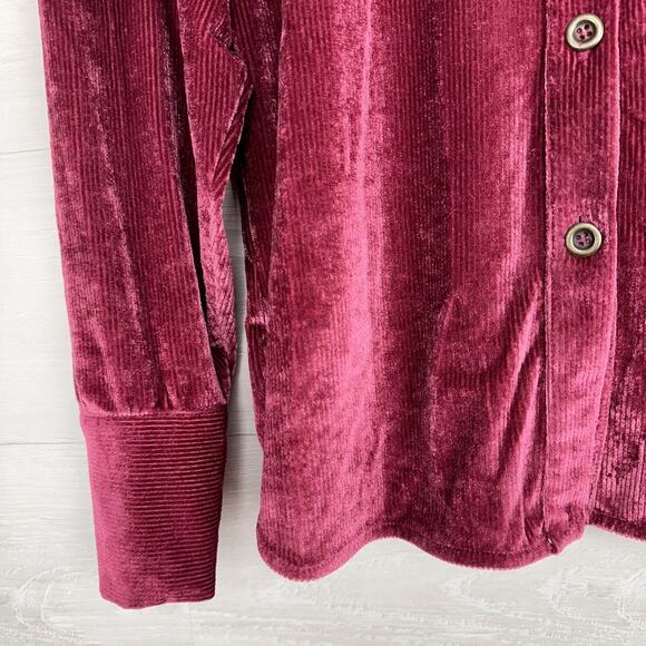 Free People Kit Kat Velour Long Sleeve Top XS Fairytale Pink Velvet Retro Whimsy - Picture 5 of 14